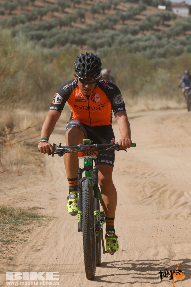 Talajara B-Pro 2017. Galeria 3
