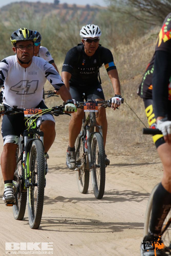Talajara B-Pro 2017. Galeria 11