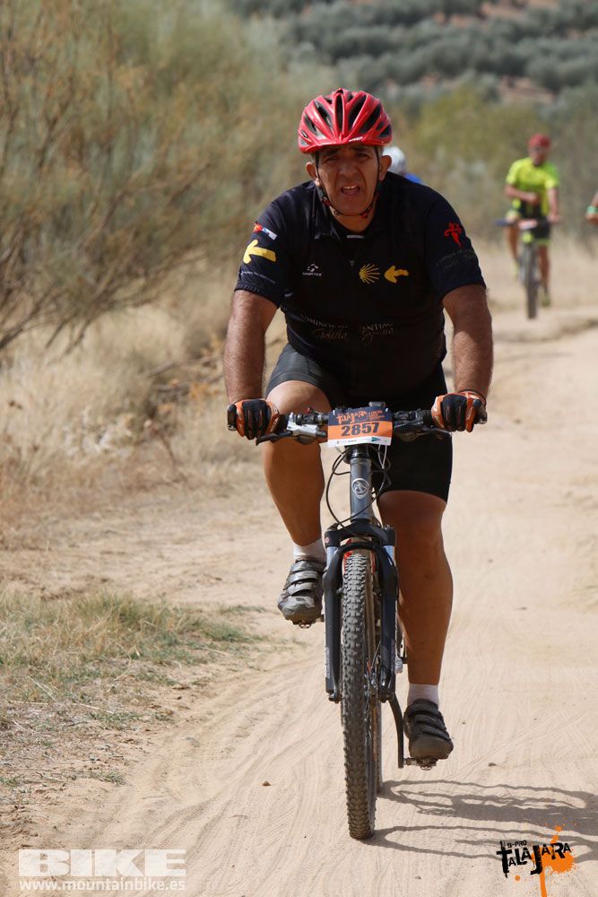 Talajara B-Pro 2017. Galeria 12