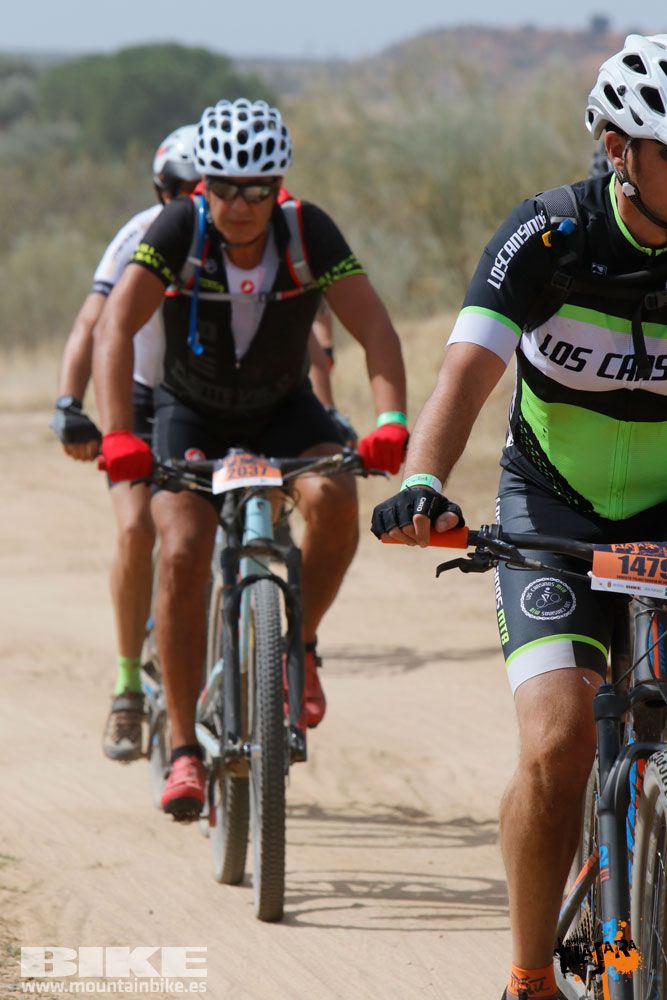 Talajara B-Pro 2017. Galeria 13