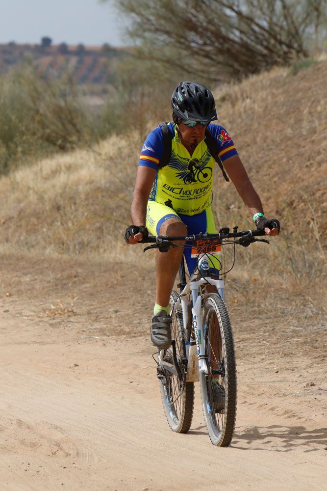 Talajara B-Pro 2017. Galeria 16