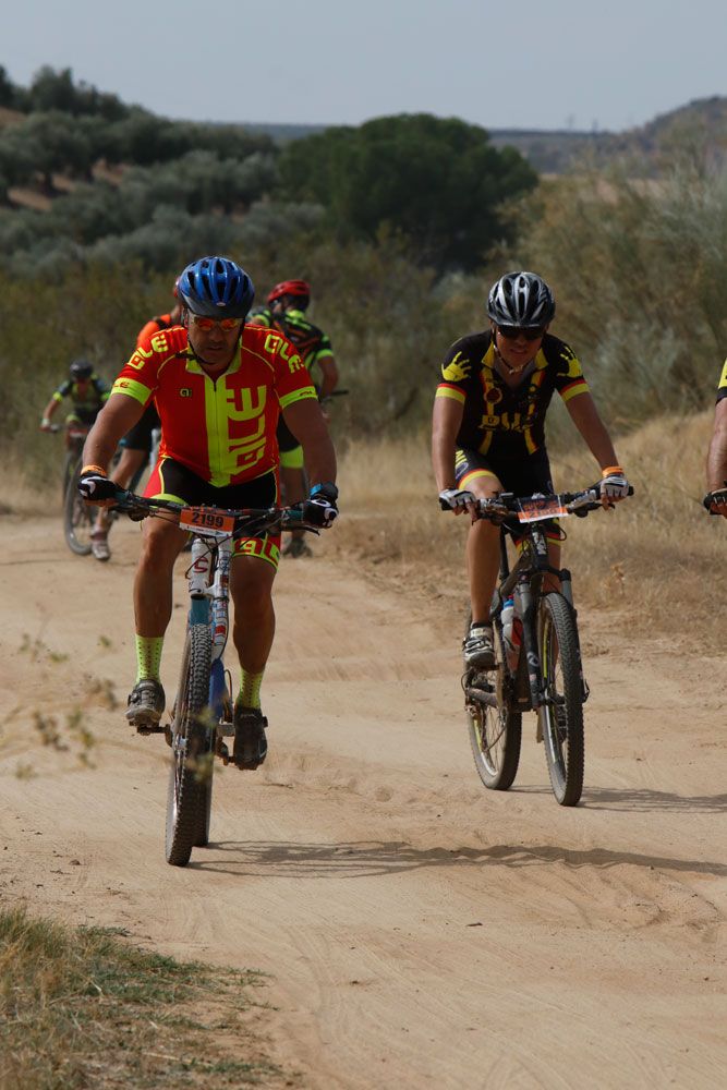 Talajara B-Pro 2017. Galeria 16