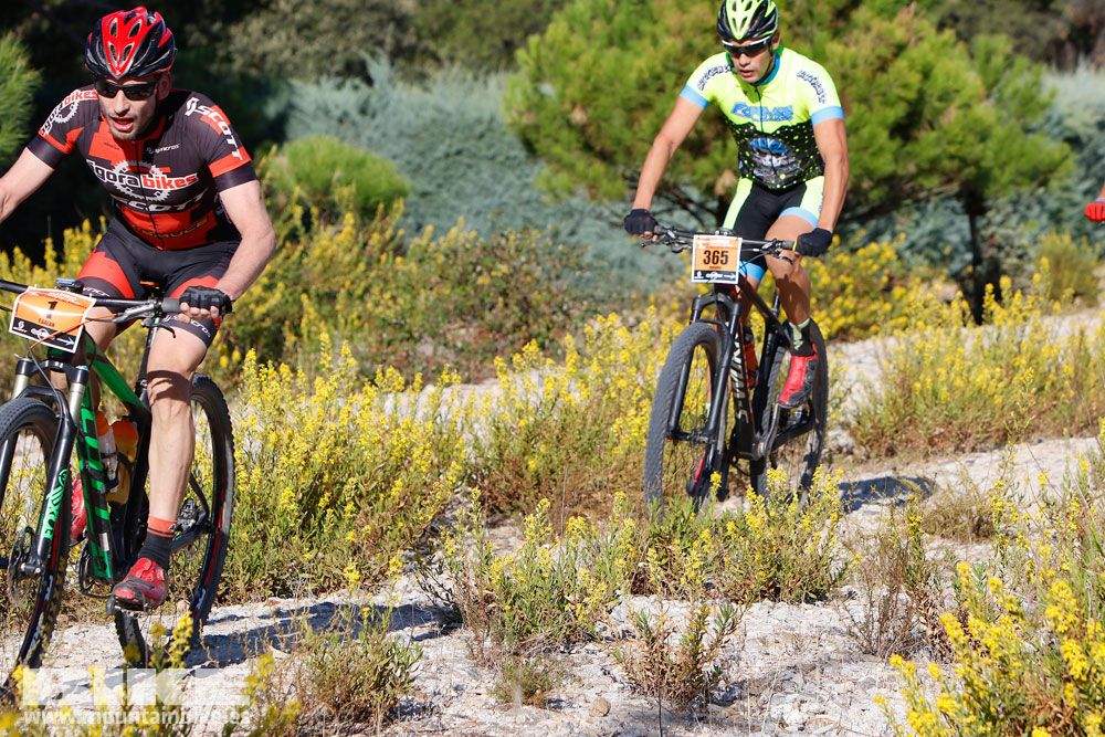 Ruta de las Encinas 2017. Galería 1