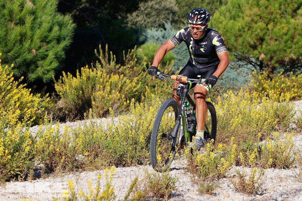 Ruta de las Encinas 2017. Galería 1