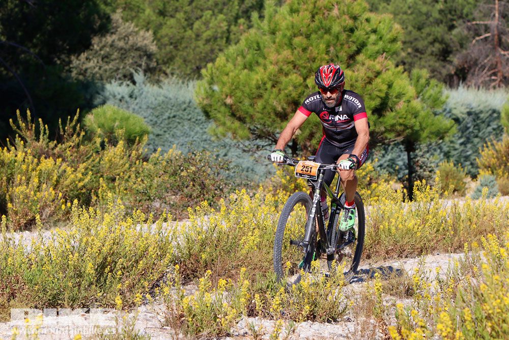 Ruta de las Encinas 2017. Galería 1