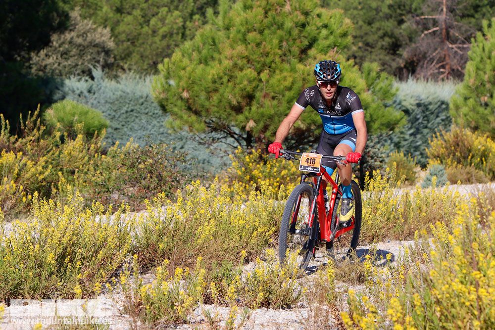 Ruta de las Encinas 2017. Galería 1