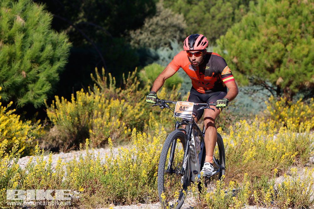 Ruta de las Encinas 2017. Galería 1