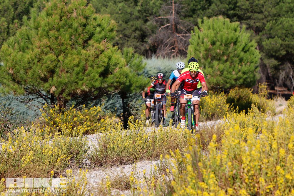 Ruta de las Encinas 2017. Galería 1