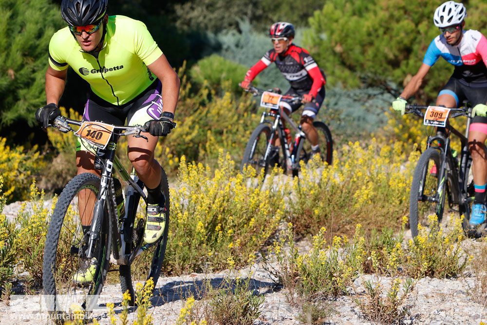 Ruta de las Encinas 2017. Galería 1