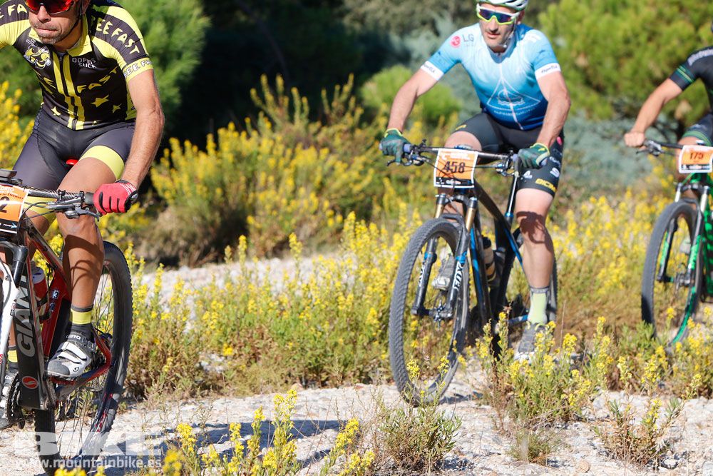 Ruta de las Encinas 2017. Galería 1