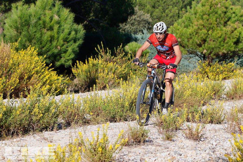 Ruta de las Encinas 2017. Galería 1