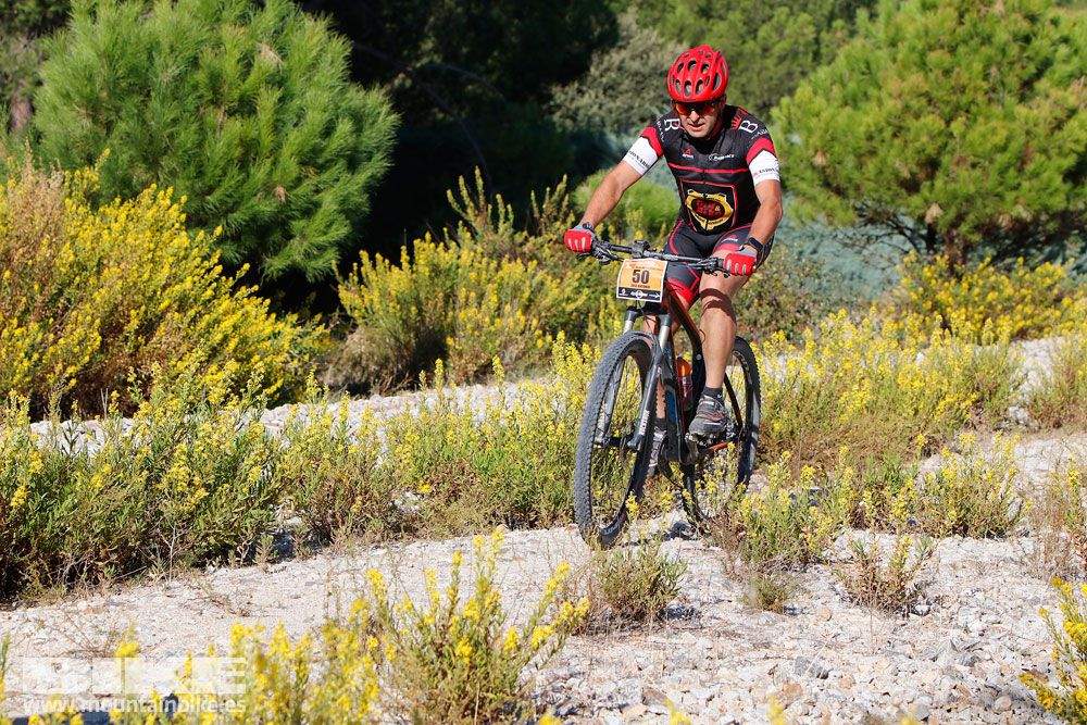 Ruta de las Encinas 2017. Galería 1