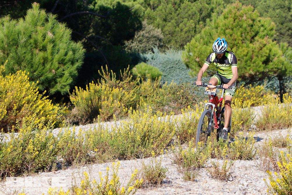 Ruta de las Encinas 2017. Galería 1