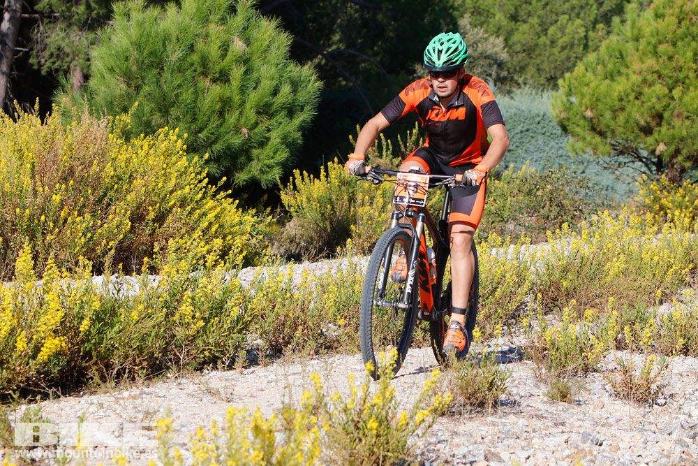 Ruta de las Encinas 2017. Galería 1