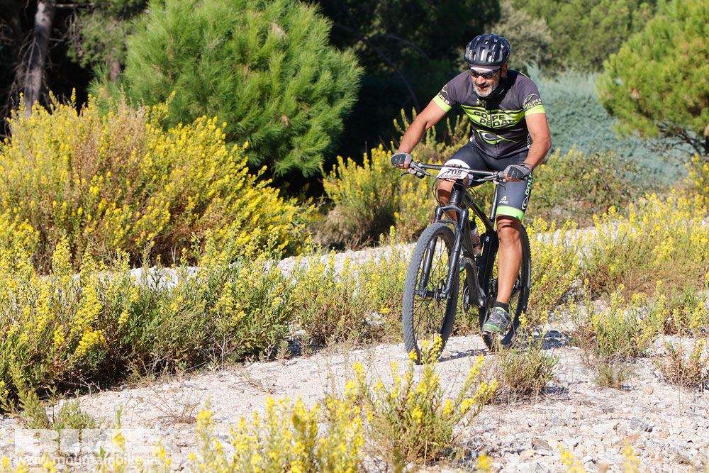 Ruta de las Encinas 2017. Galería 1