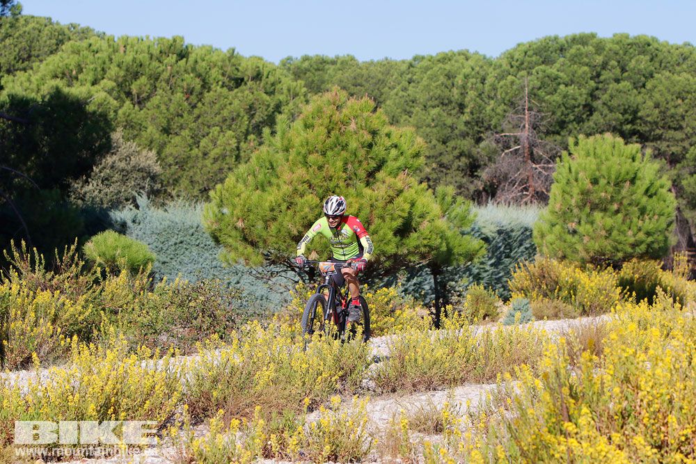 Ruta de las Encinas 2017. Galería 1