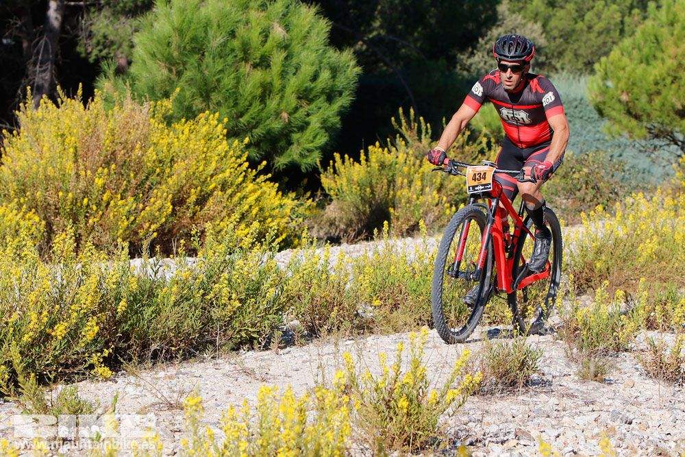 Ruta de las Encinas 2017. Galería 1