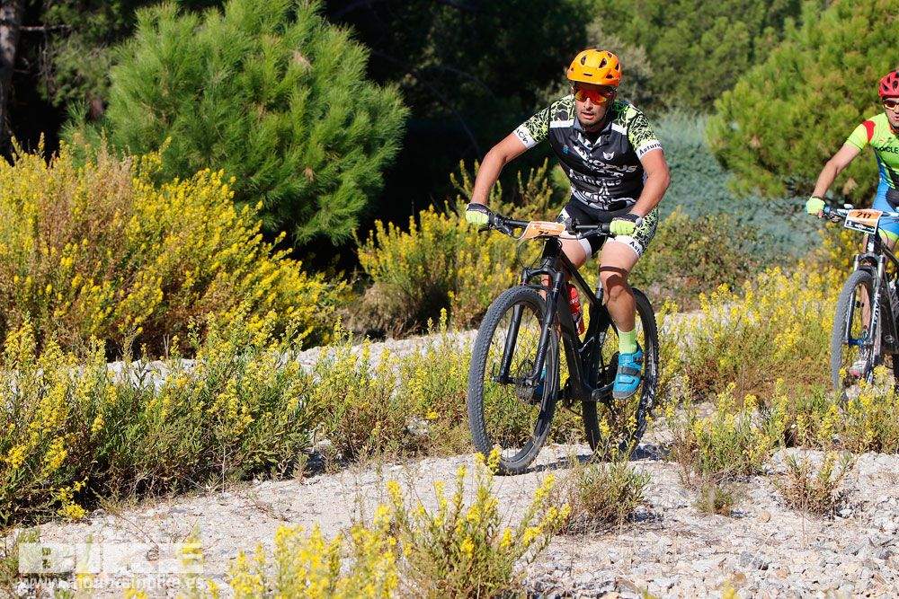 Ruta de las Encinas 2017. Galería 1