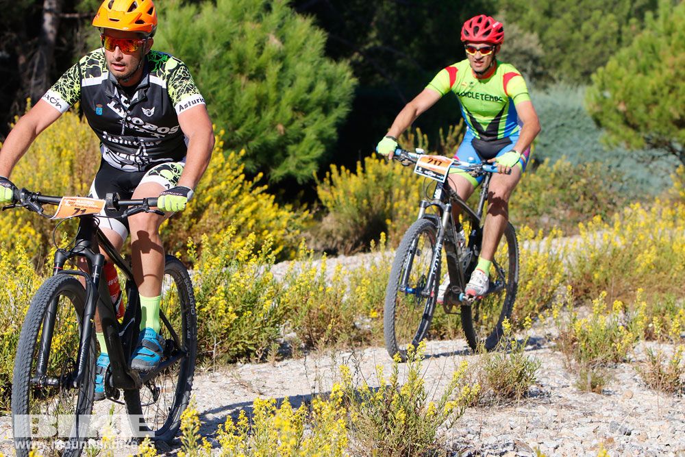 Ruta de las Encinas 2017. Galería 1