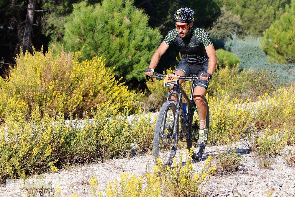 Ruta de las Encinas 2017. Galería 1