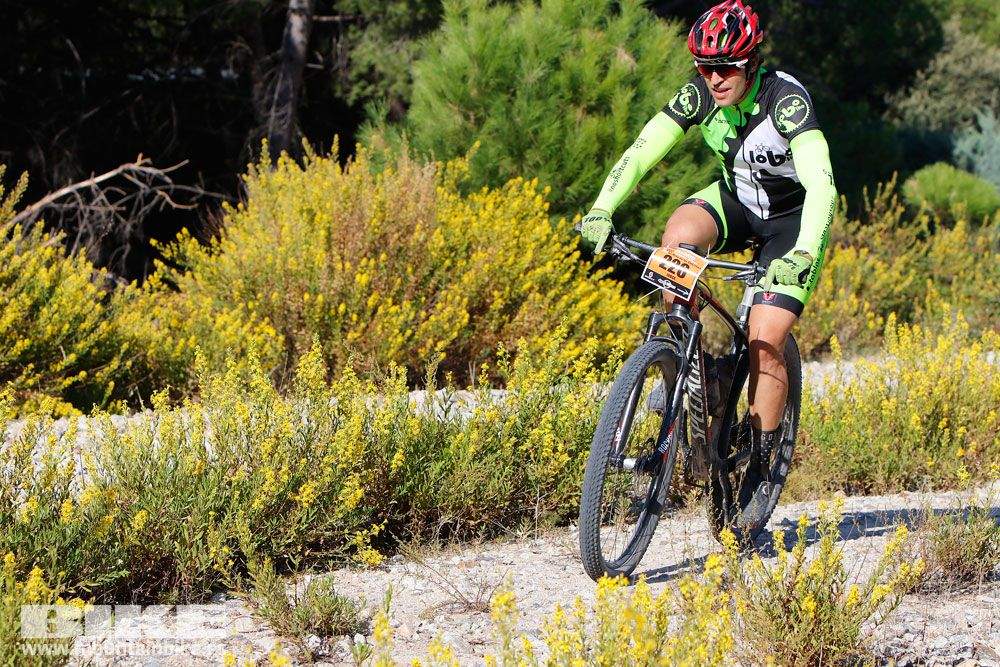 Ruta de las Encinas 2017. Galería 1