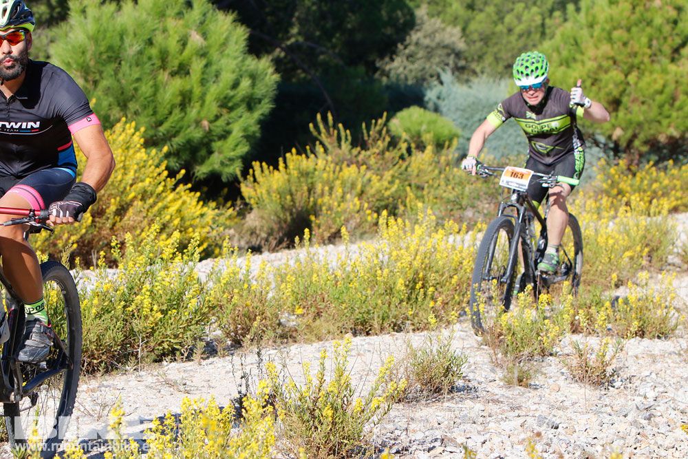 Ruta de las Encinas 2017. Galería 1