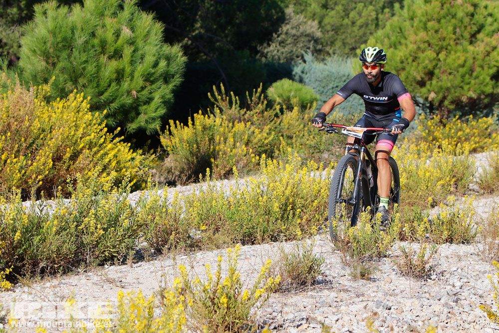 Ruta de las Encinas 2017. Galería 1