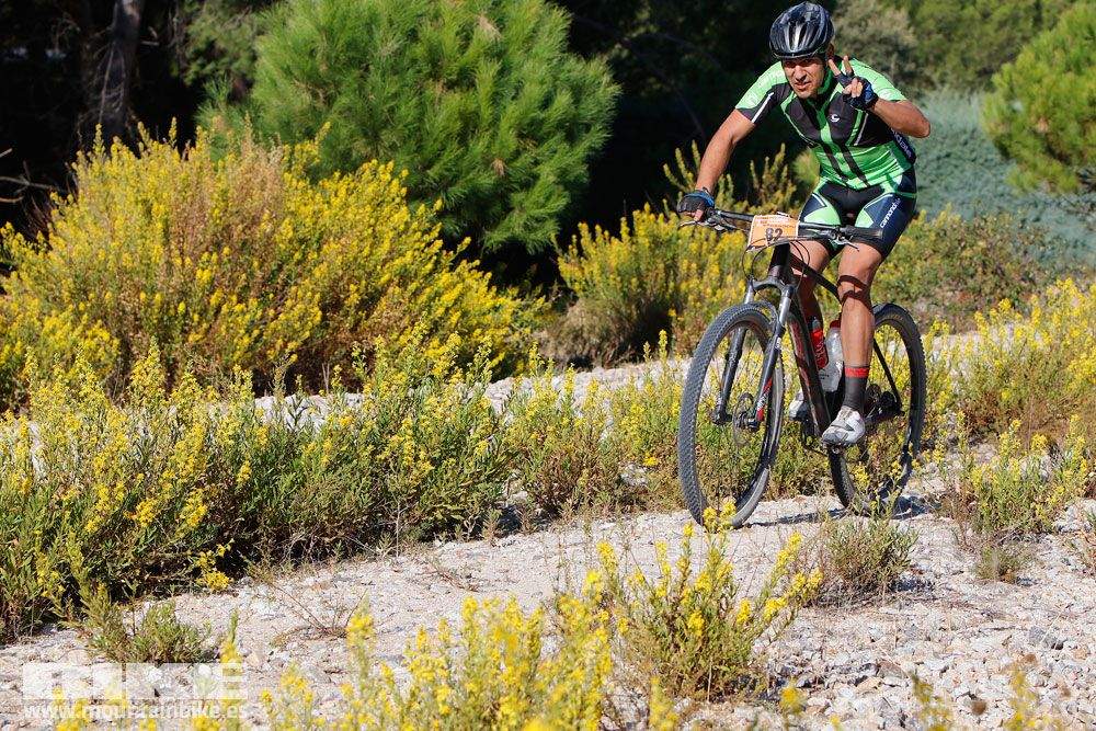 Ruta de las Encinas 2017. Galería 1