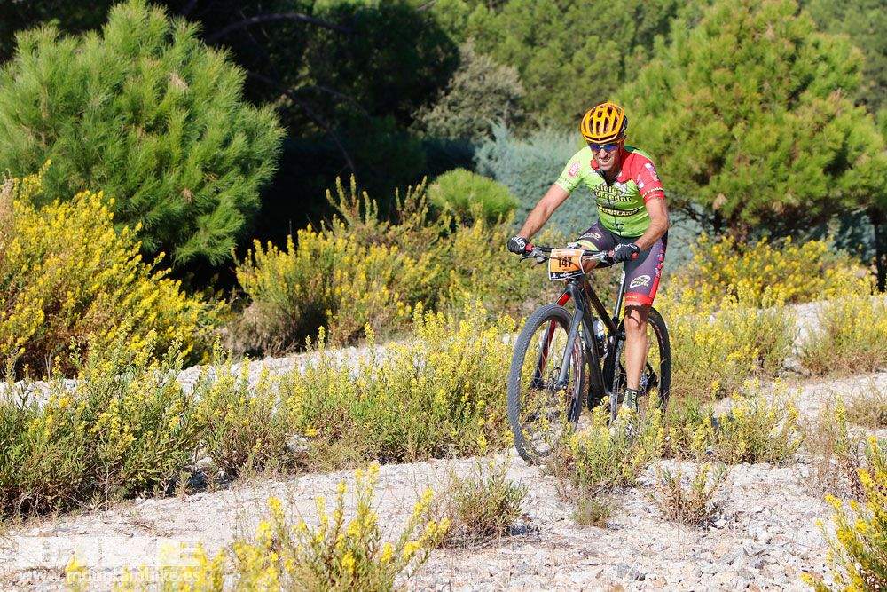Ruta de las Encinas 2017. Galería 1
