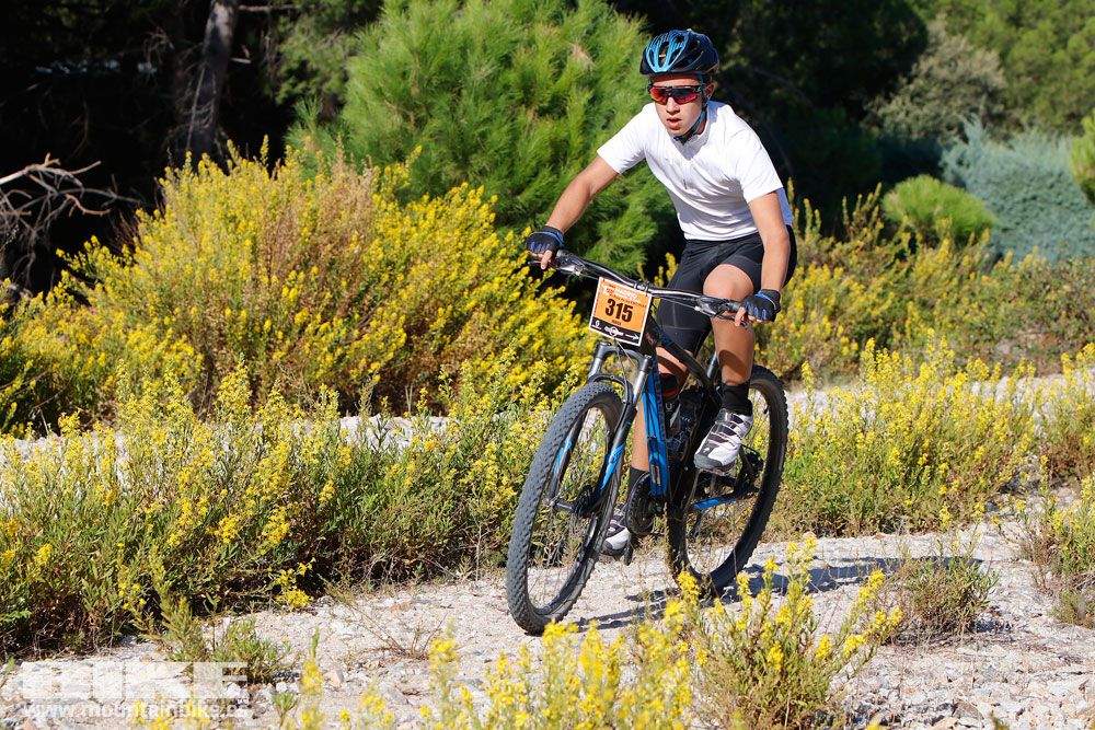 Ruta de las Encinas 2017. Galería 1