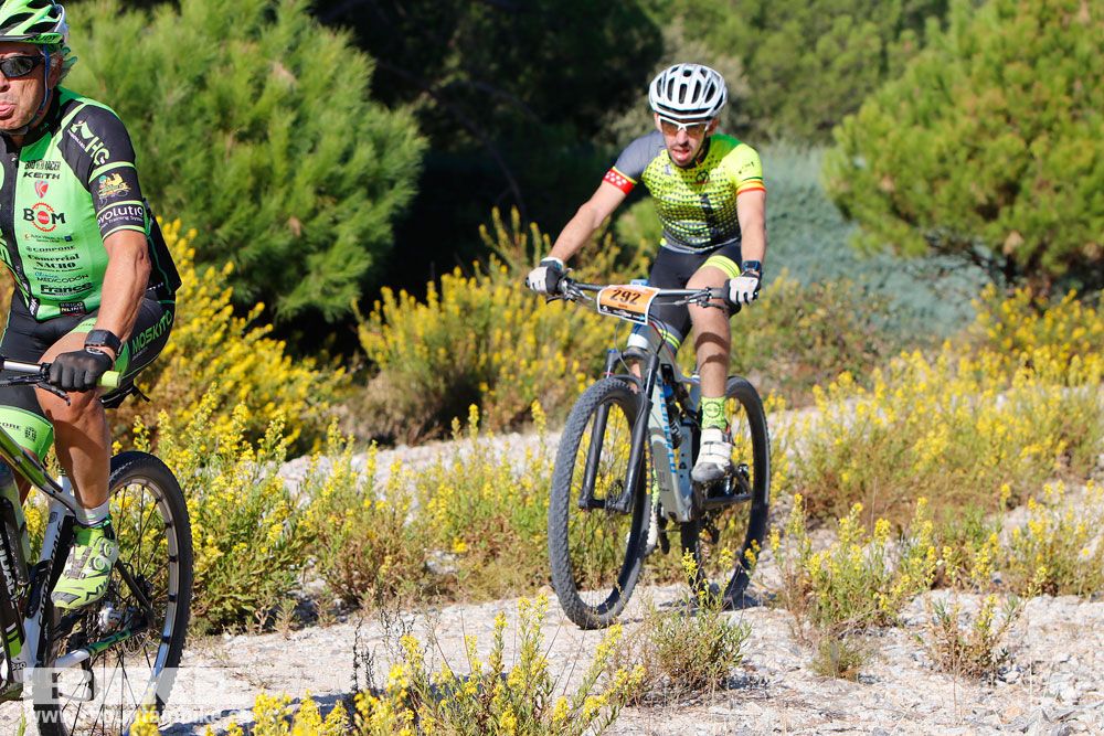 Ruta de las Encinas 2017. Galería 2