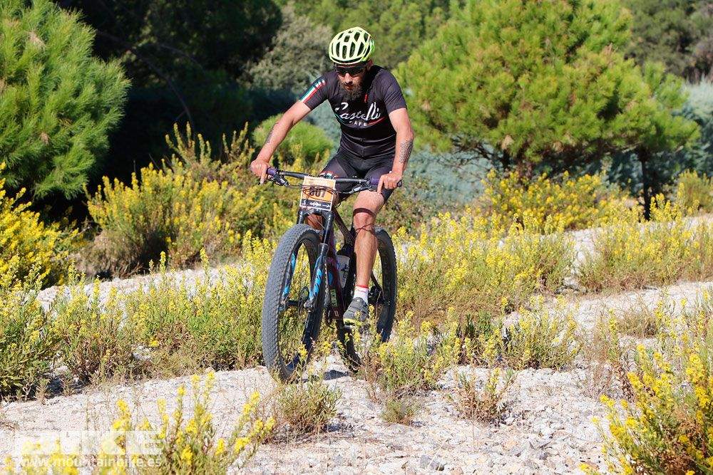 Ruta de las Encinas 2017. Galería 2