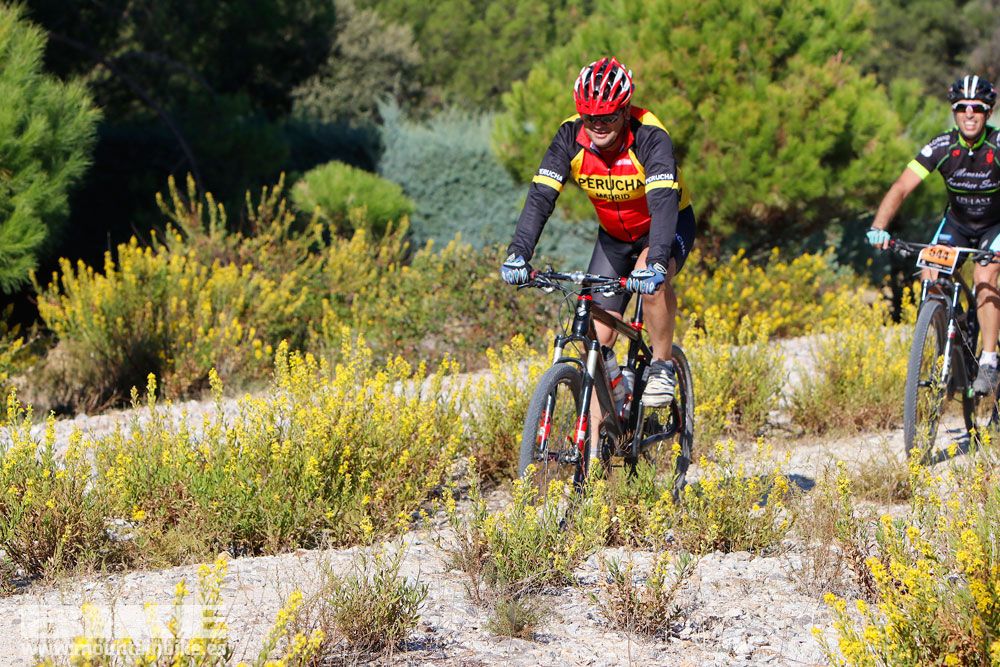 Ruta de las Encinas 2017. Galería 2