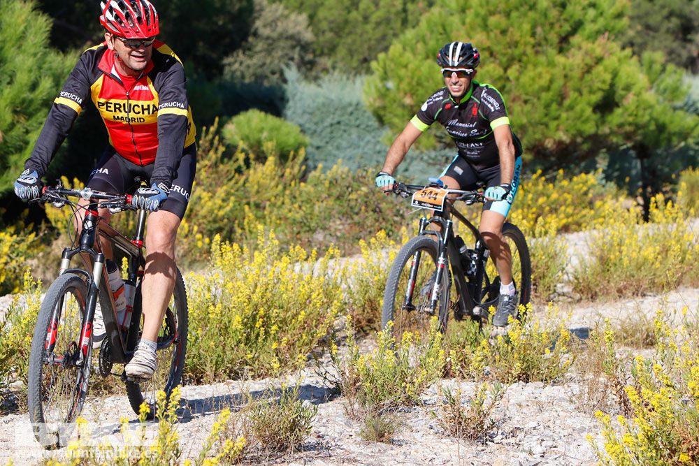 Ruta de las Encinas 2017. Galería 2