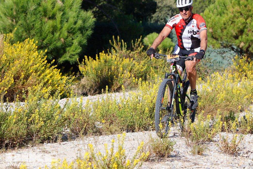 Ruta de las Encinas 2017. Galería 2