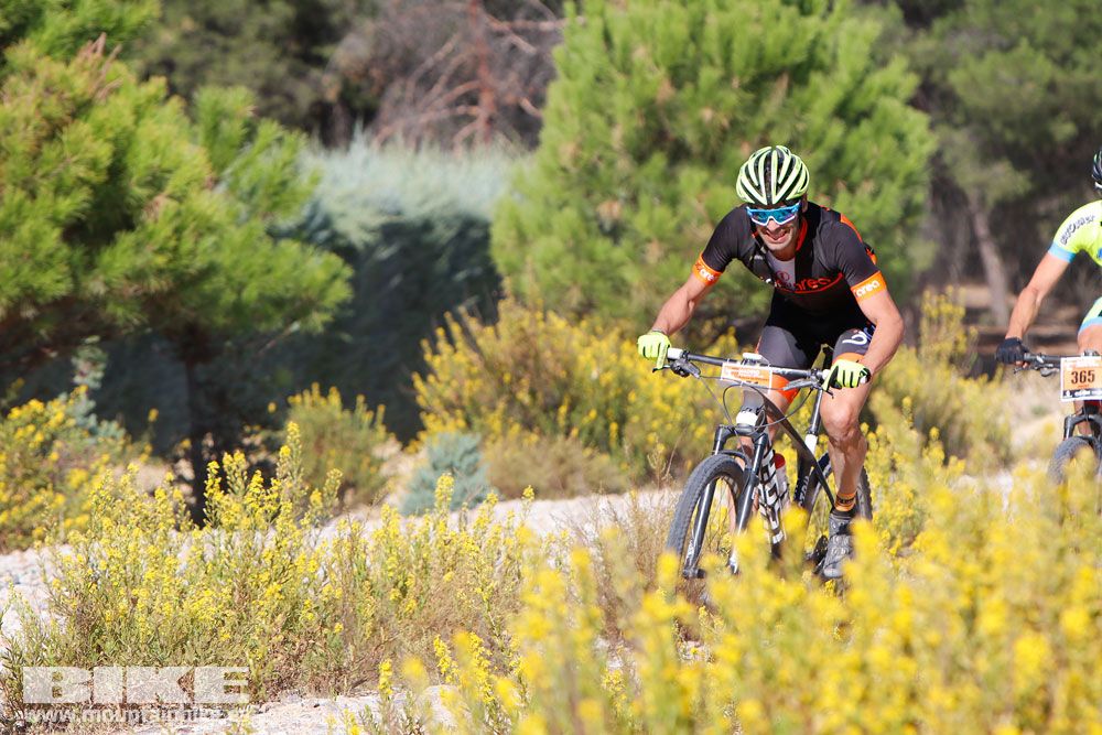 Ruta de las Encinas 2017. Galería 3