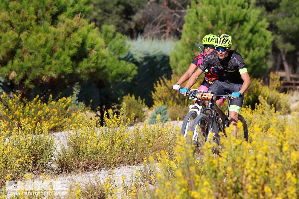Ruta de las Encinas 2017. Galería 3
