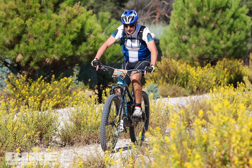 Ruta de las Encinas 2017. Galería 3