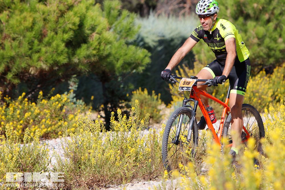 Ruta de las Encinas 2017. Galería 3