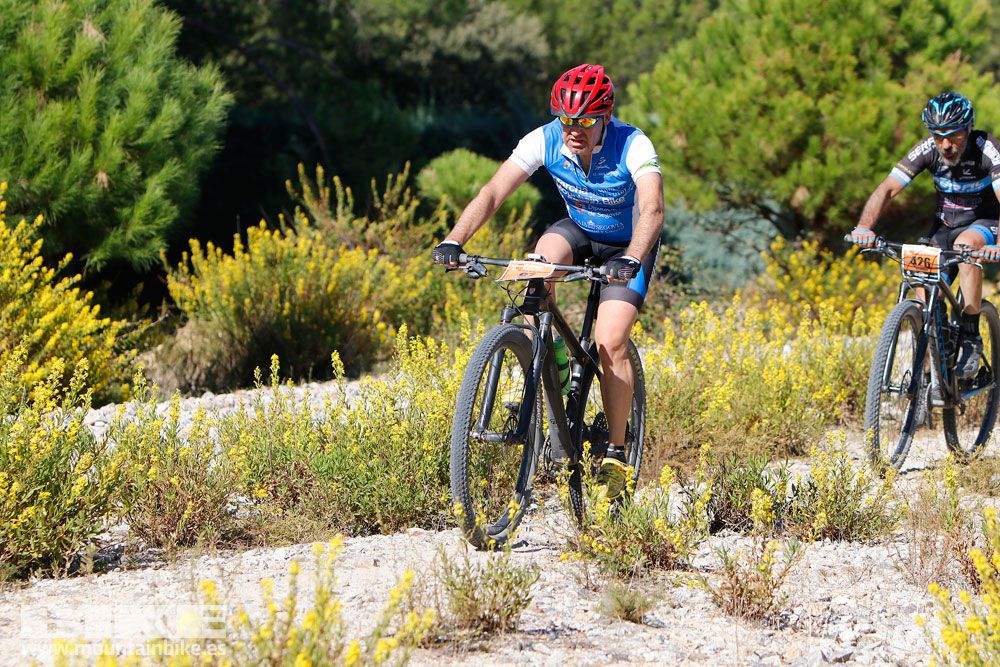 Ruta de las Encinas 2017. Galería 3