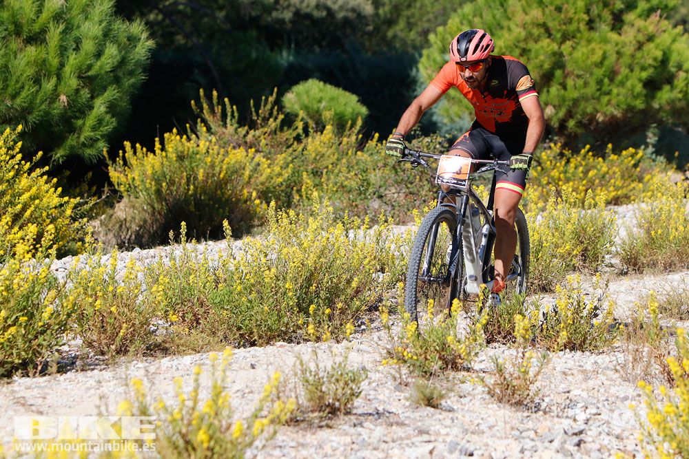 Ruta de las Encinas 2017. Galería 3