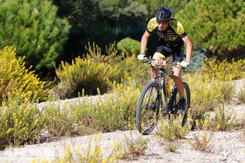 Ruta de las Encinas 2017. Galería 4