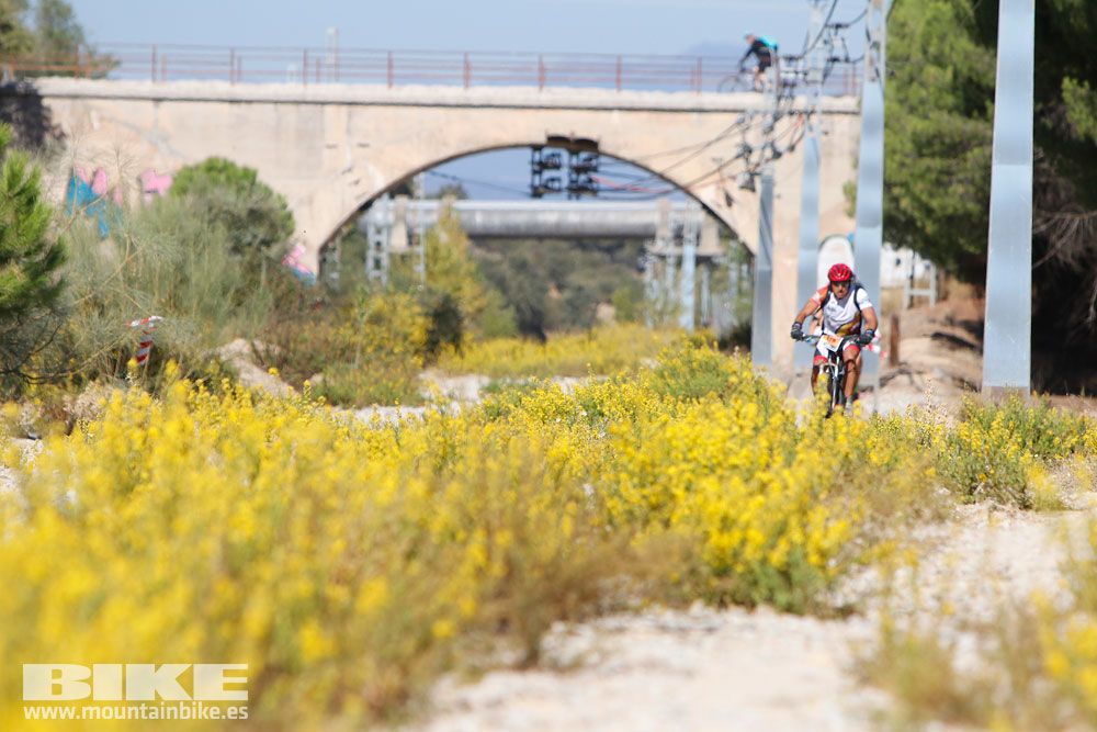 Ruta de las Encinas 2017. Galería 4