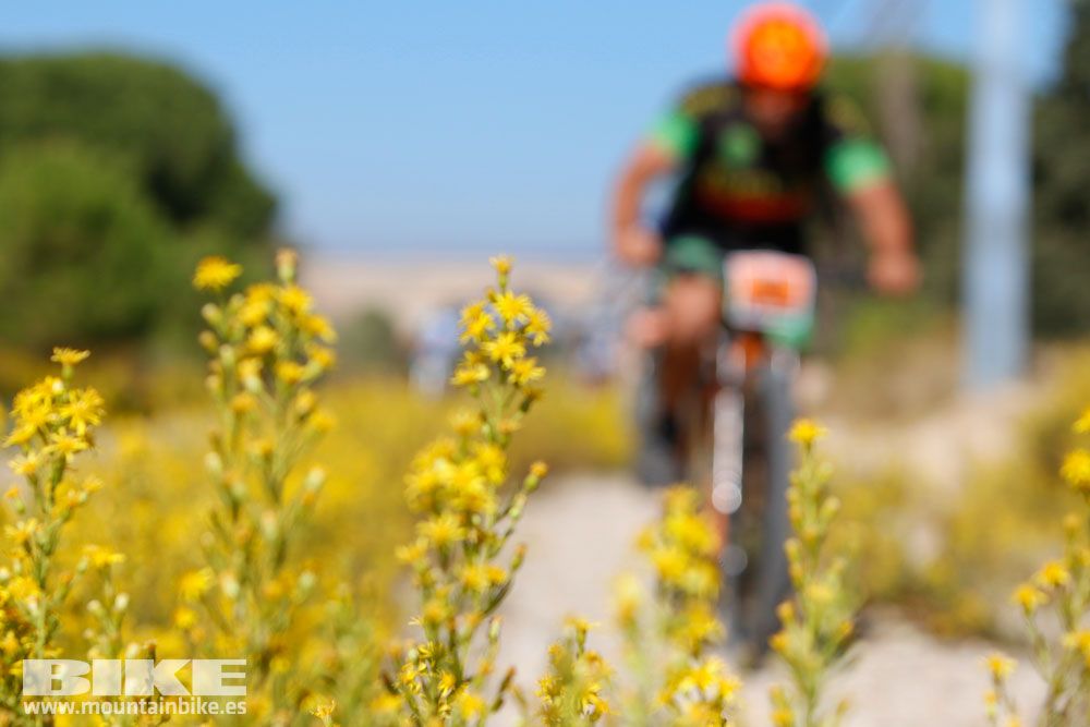 Ruta de las Encinas 2017. Galería 4