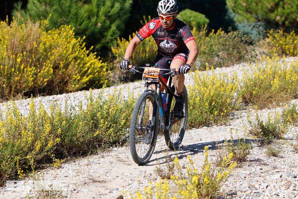 Ruta de las Encinas 2017. Galería 4