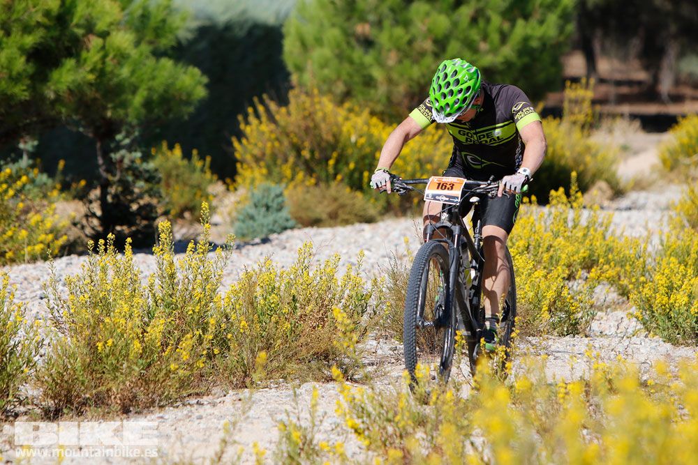 Ruta de las Encinas 2017. Galería 4