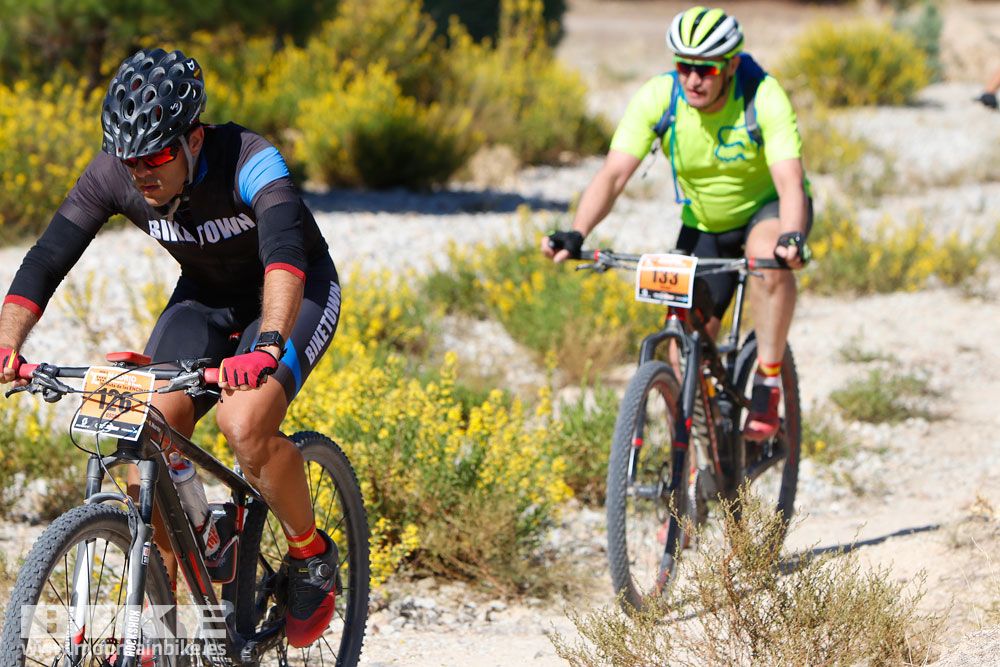 Ruta de las Encinas 2017. Galería 4