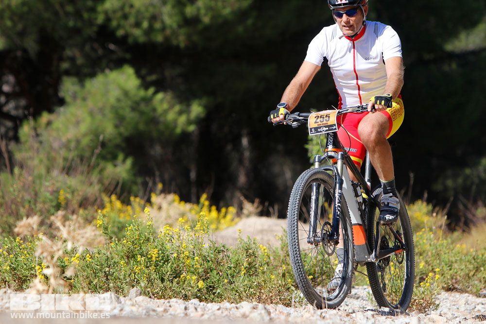 Ruta de las Encinas 2017. Galería 4
