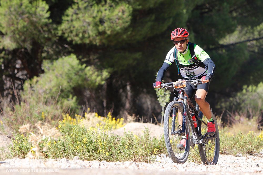 Ruta de las Encinas 2017. Galería 4