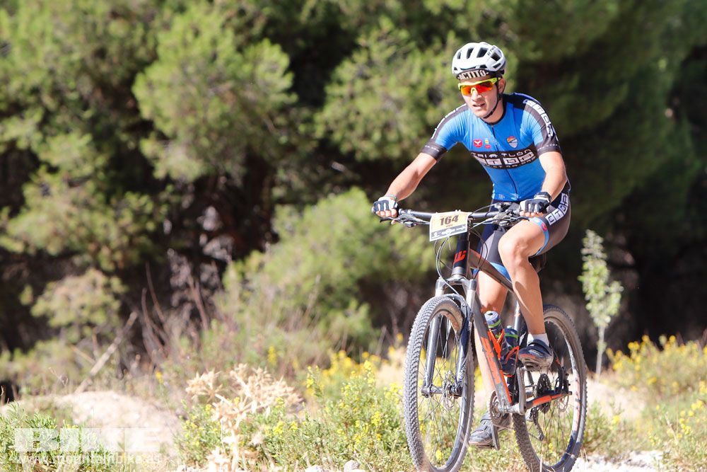 Ruta de las Encinas 2017. Galería 4